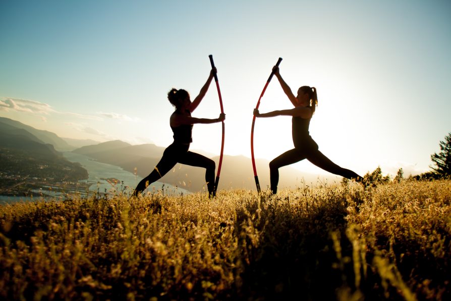 Stick Mobility 4 FT - 122 CM - Image 3